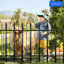 61 cm H x 61 cm W Iron Fence Panels Fencing with 5 Panel(s) Included-940263393