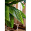 Plantes et arbres en plastique vert 9,65 po