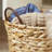 August Grove® Attleboro Basket