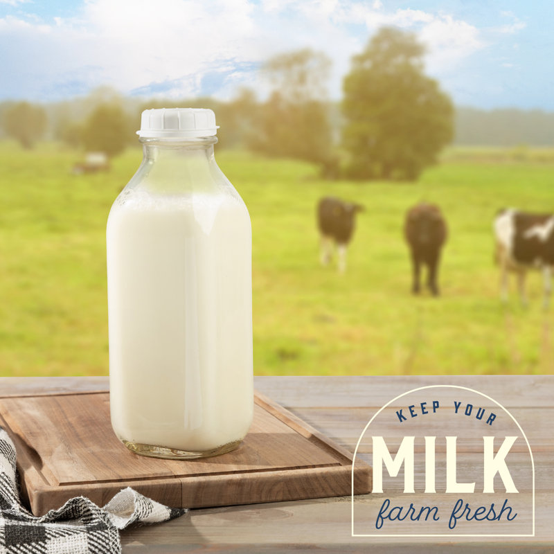 Caeson 33 oz. Bouteilles à lait avec bec verseur