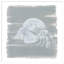 «Soft Sea Hermit Crab» par Yvette St. Amant, reproduction d'art sur bois encadrée-648970685