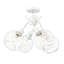 Verre directionnel et projecteur Manderly-95376513
