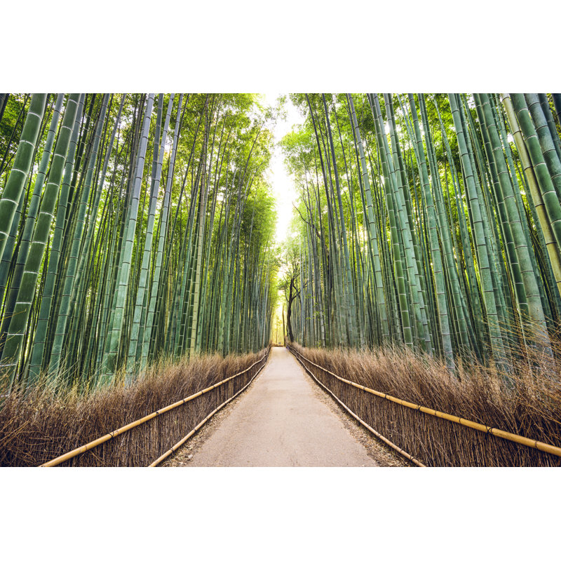" Bamboo Forest " by Seanpavonephoto, 8" H x 12" W x 1" D