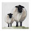 Portrait de mouton et d'agneau, conception par Michele Norman-1292434702