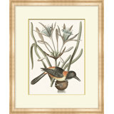 Summer Bird 7 Print