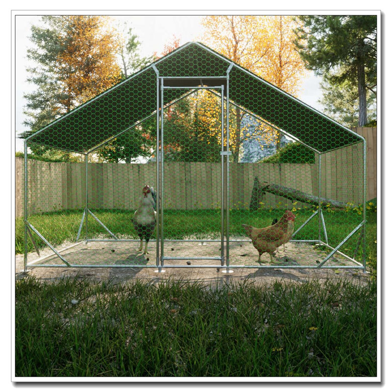 Grand poulailler en métal avec couvercle imperméable, H 79 po x l 120 po x P 79,2 po