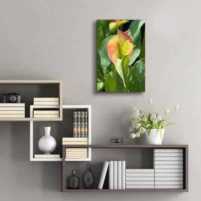 Art mural en verre Epic Art «Pink Calla Lily» par Dante Plata, 16 po x 24 po