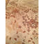 Indain Wool Oriental Area Rug