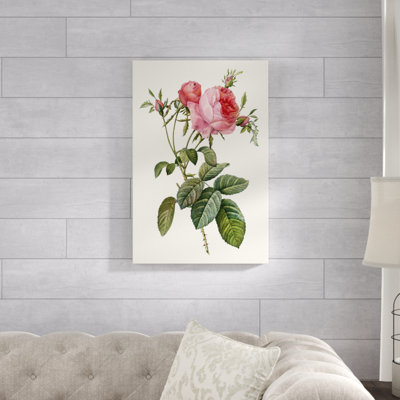 «Redoute's Rose II», peinture sur toile