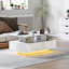 Table basse moderne avec lumières DEL blanc brillant