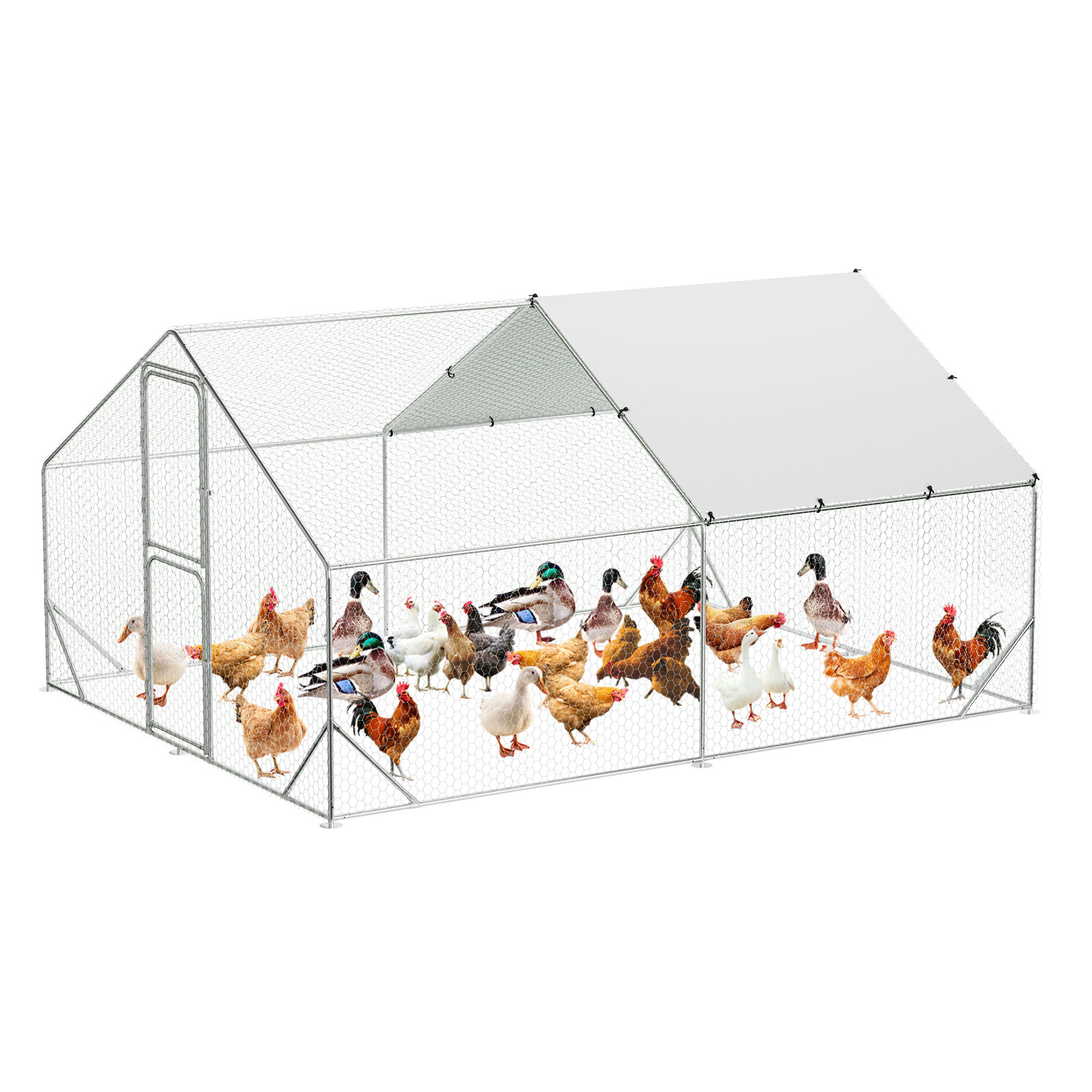 Archie & Oscar™ Laron Chicken Run Wayfair