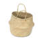 Bay Isle Home Feddalat Wicker Box-24855423-24855420