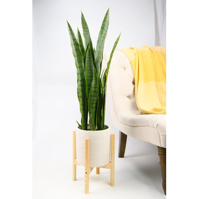 Jayzeon Handmade Pot Planter
