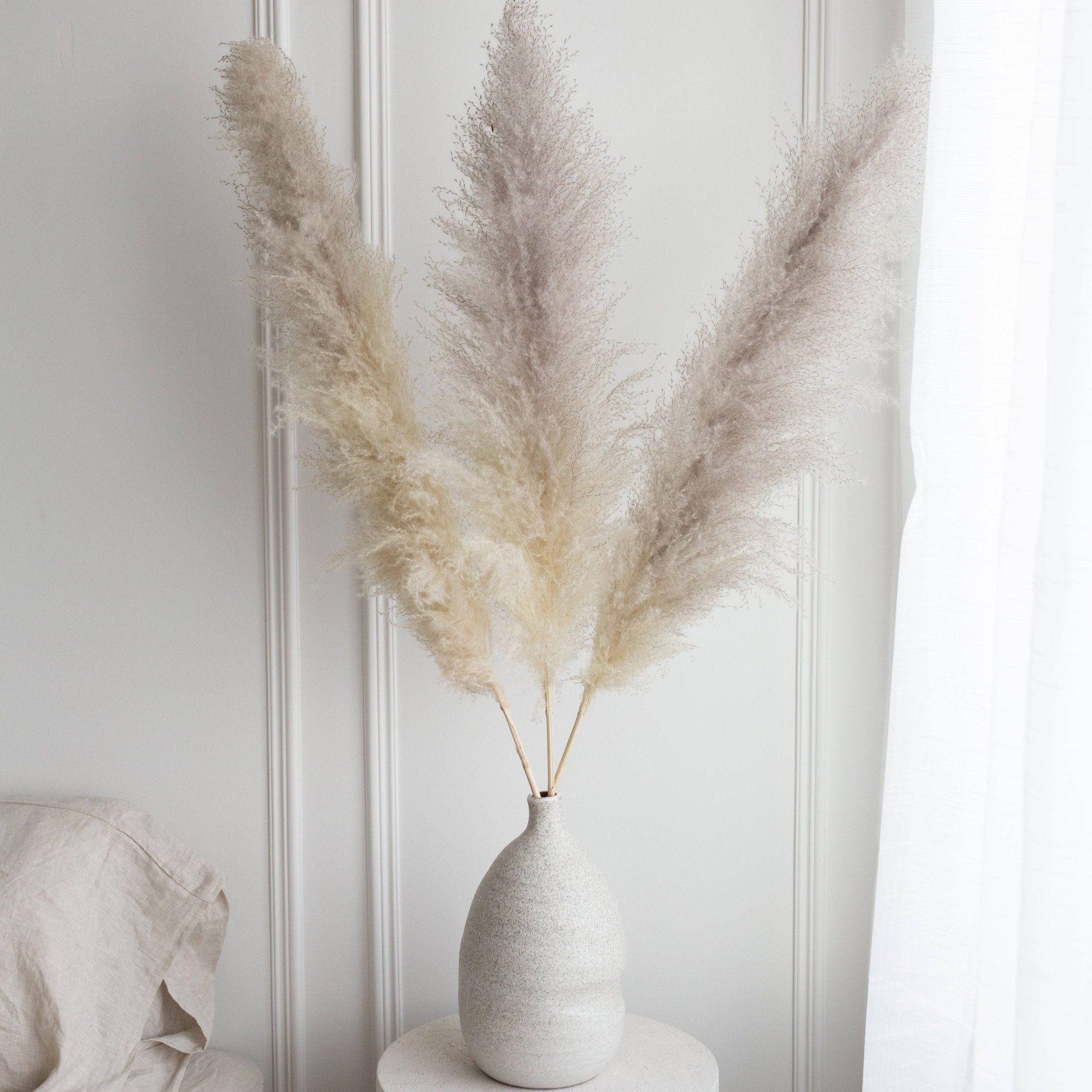 Primrue 48'' Pampas Grass Grass | Wayfair