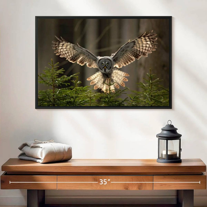 Hibou volant Brampt, H 17 po x l 25 po