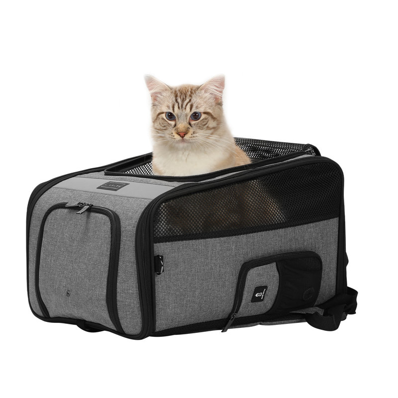 Collapsible Pet Carrier with 2 Doors, Gray