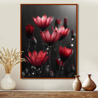 Monochrome Dandelion Raindrop Reflections III - Dandelion Wall Decor