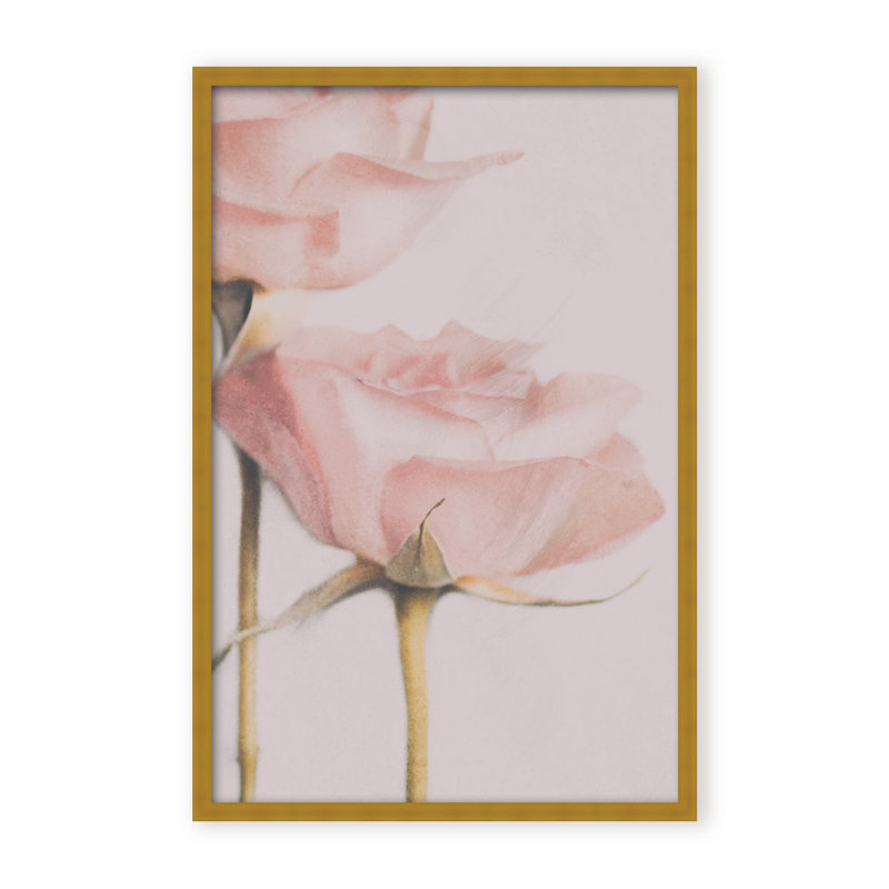 Nature Inspired Two Roses by  - Picture Frame Photograph on Paper, 36" H x 24" W x 1.125" D, Framed Print, White