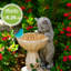 Statue de jardin solaire pour chat avec lumière DEL, décoration extérieure en résine résistante aux intempéries pour la cour, le patio et le balcon