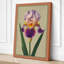 Bearded Iris Botanical - Wrapped Canvas-1689833451-1689833459