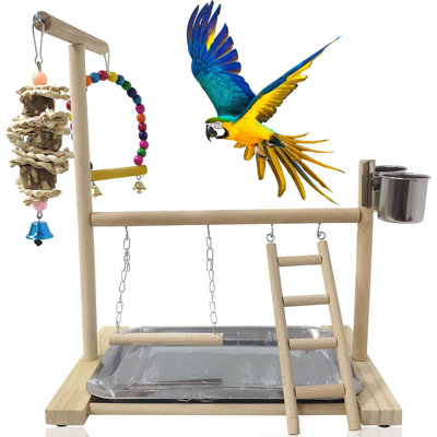Bird Play Gym For Table Top