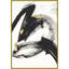 Gilded Strokes 3 Framed Print-1652666048