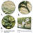 Tree American Basswood collage 3 - Tree Wall Art Decor-1941808365-1941808285