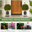 Ensemble de 2 buis artificiels en pot