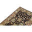Oriental Area Rug in Cream