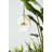 Moai 1 - Light Single Pendant-30060568-30060570