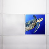 Ocean Rectangle Fixture Component Ceiling Light