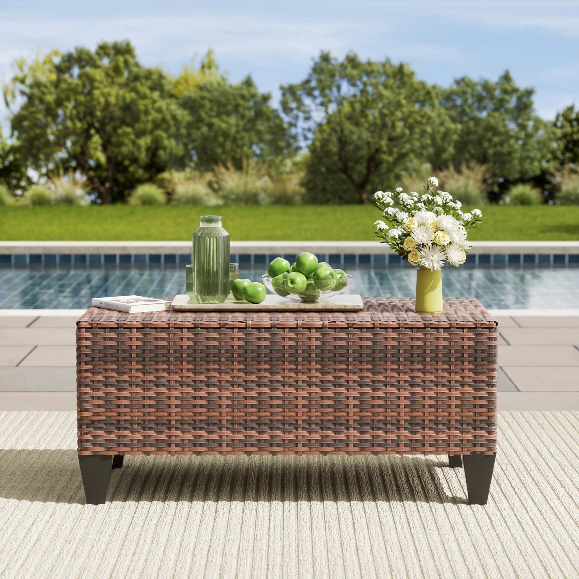 Hermes 21.65'' W 60 Gallons Brown Wicker Coffee Table Deck Box with Storage Wayfair