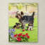 «Armand Yorkie Puppies» par Armand, reproduction sur toile-21648412