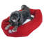 Traversin Patrice-11097555-3917849