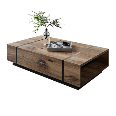 Schueler Coffee Table with Storage