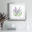 Lavande botanique I - peinture encadrée-528708047-528708044