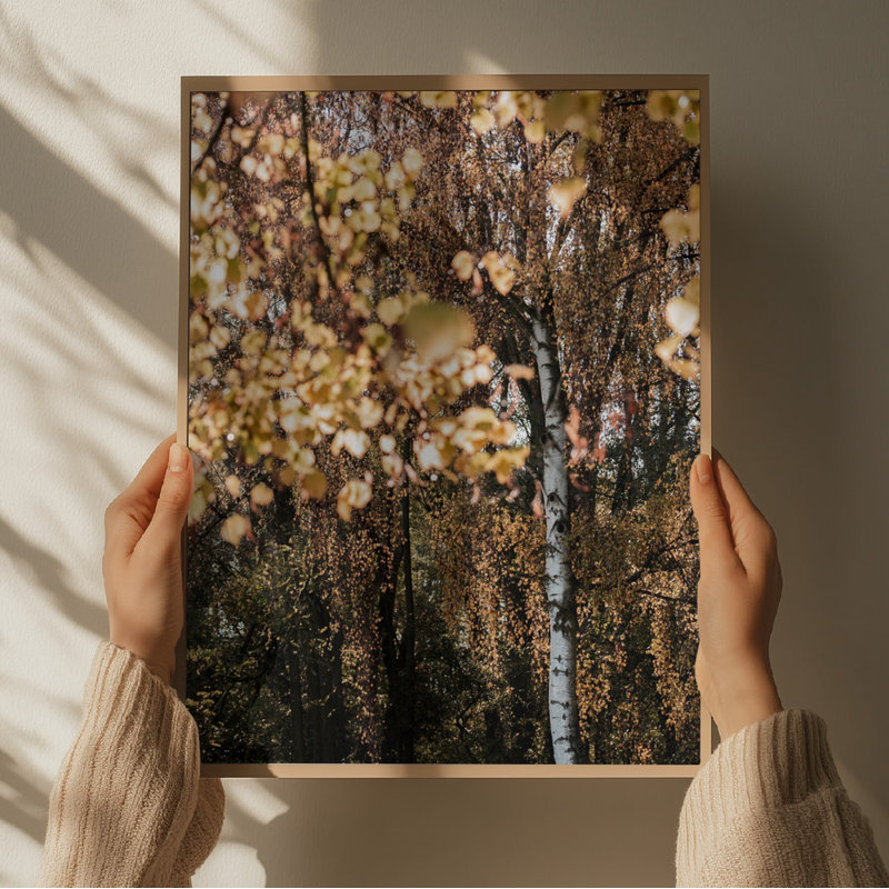 Wrapped Canvas Print, 50.8 cm H x 76.2 cm W
