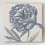 «Indigo Floral on Linen II» par Vision Studio - impression sur toile-926066901
