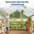 6x6 FT Polycarbonate Greenhouse with Aluminum Frame and Roof Vent-125177376