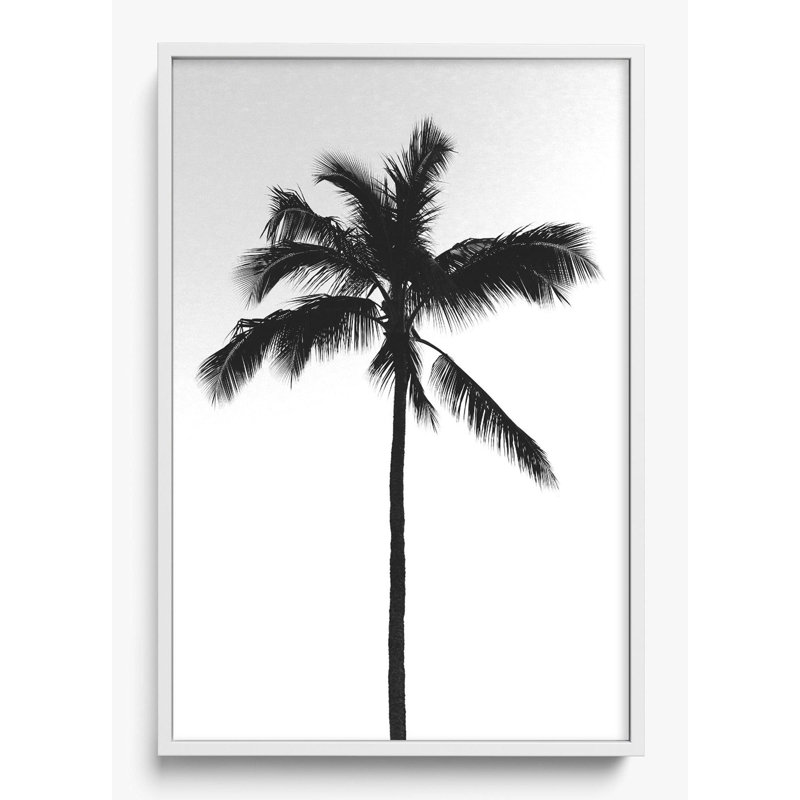 «The Black Palm», H 26 po x l 38 po, Impression encadrée sans passe-partout, Blanc