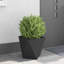 Planter Box-1334459779-1334459807
