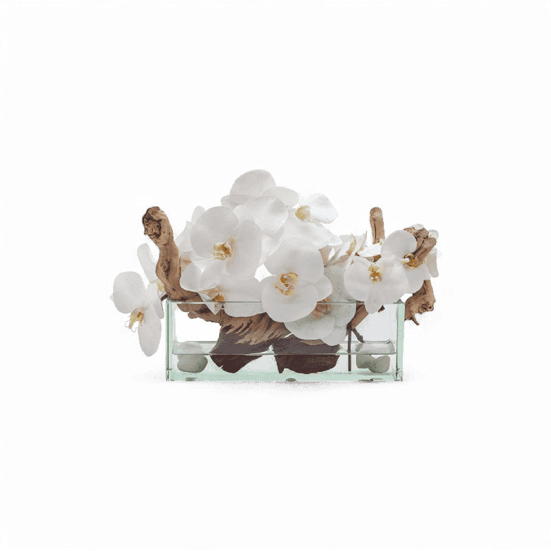Orchidée rectangulaire 12 "blanc