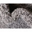 Dejuan Shaggy Area Rug-321899900