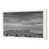 White Single Picture Framed selected