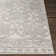 Aleida Oriental Indoor Rug