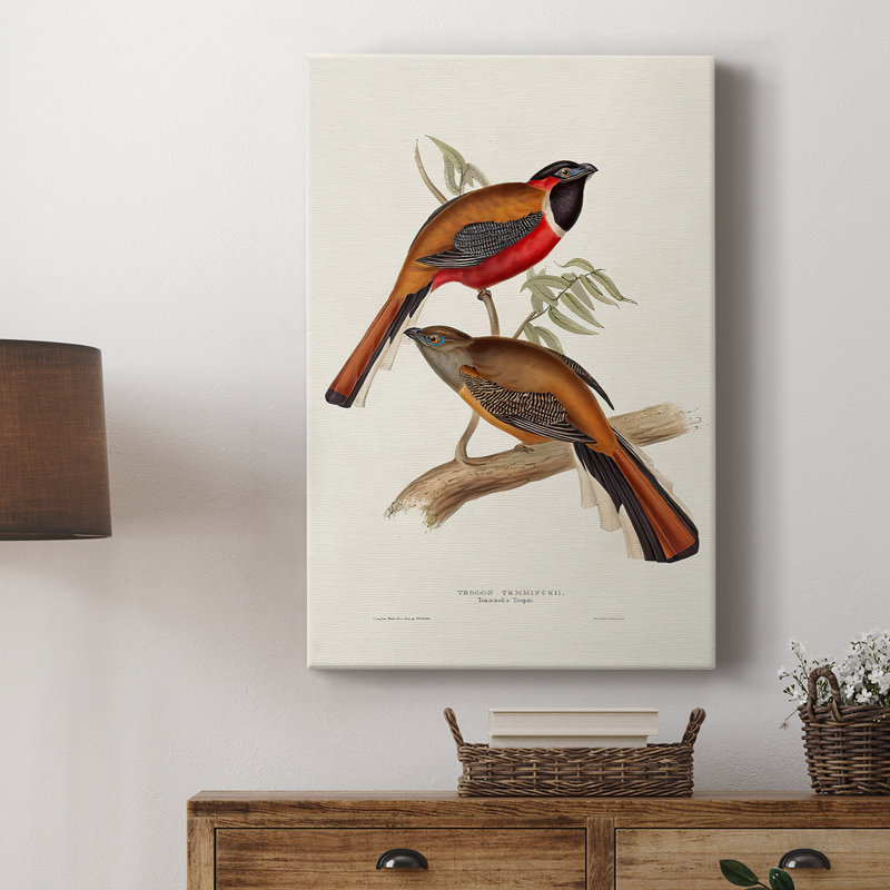 ElegantTrogonsIV - galerie Cavas sur mesure, H 12 po x l 8 po
