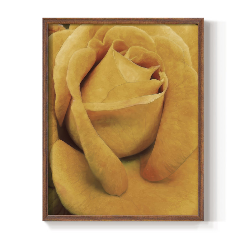 «Soft Flower Petals IV», reproduction encadrée - bois massif, Noyer, H 21 po x l 17 po
