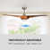 132cm Ceiling Fan with Light Kit
