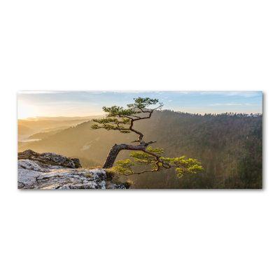 Sokolica Pieniny 1 Piece Wall Art on Glass