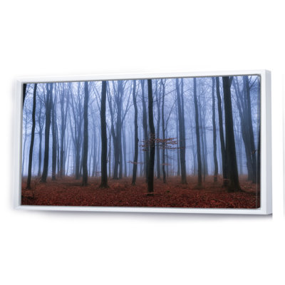 " Foggy Day Autumn Forest "